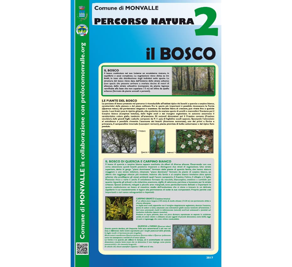 Percorso natura – foto 2