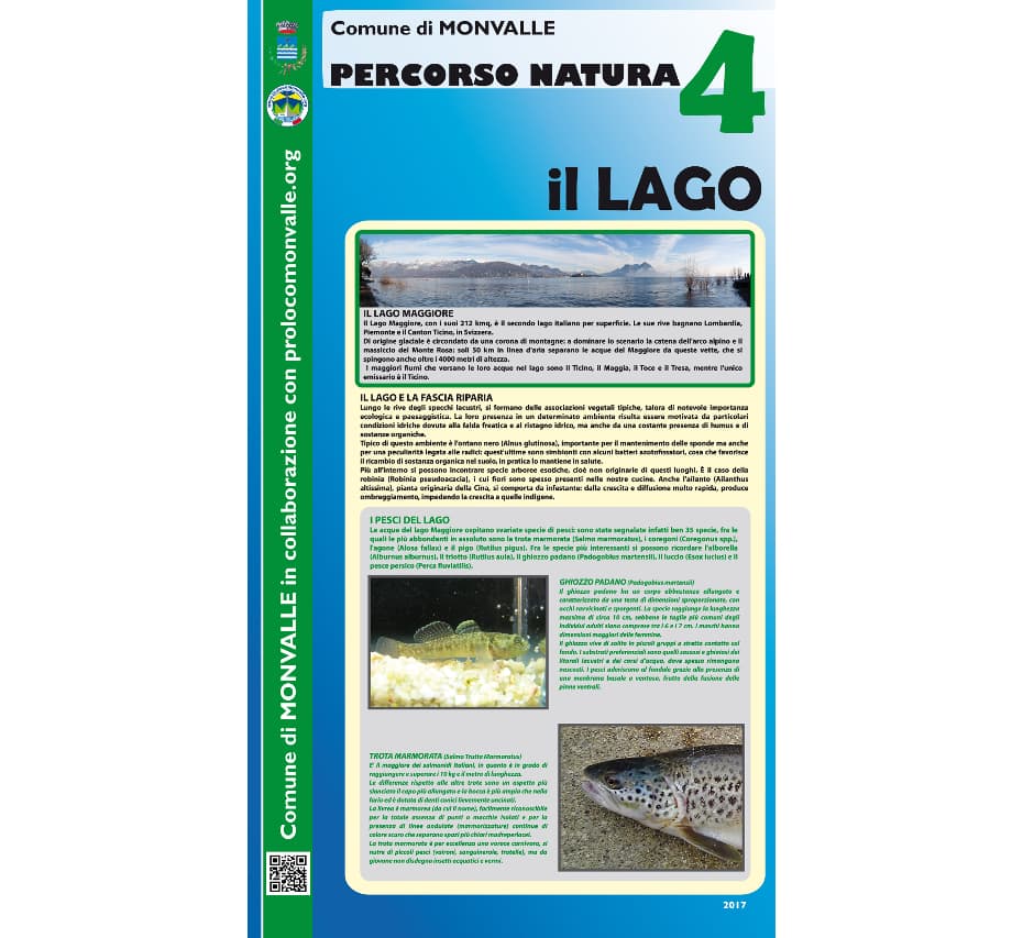 Percorso natura – foto 4