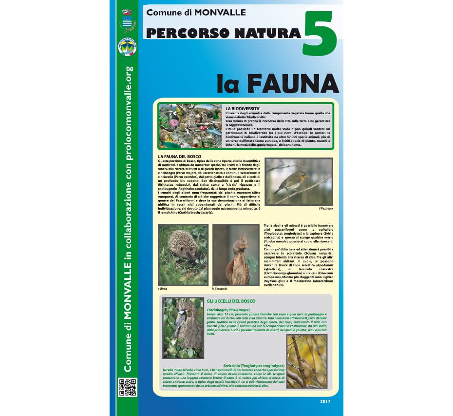 Percorso natura – foto 5