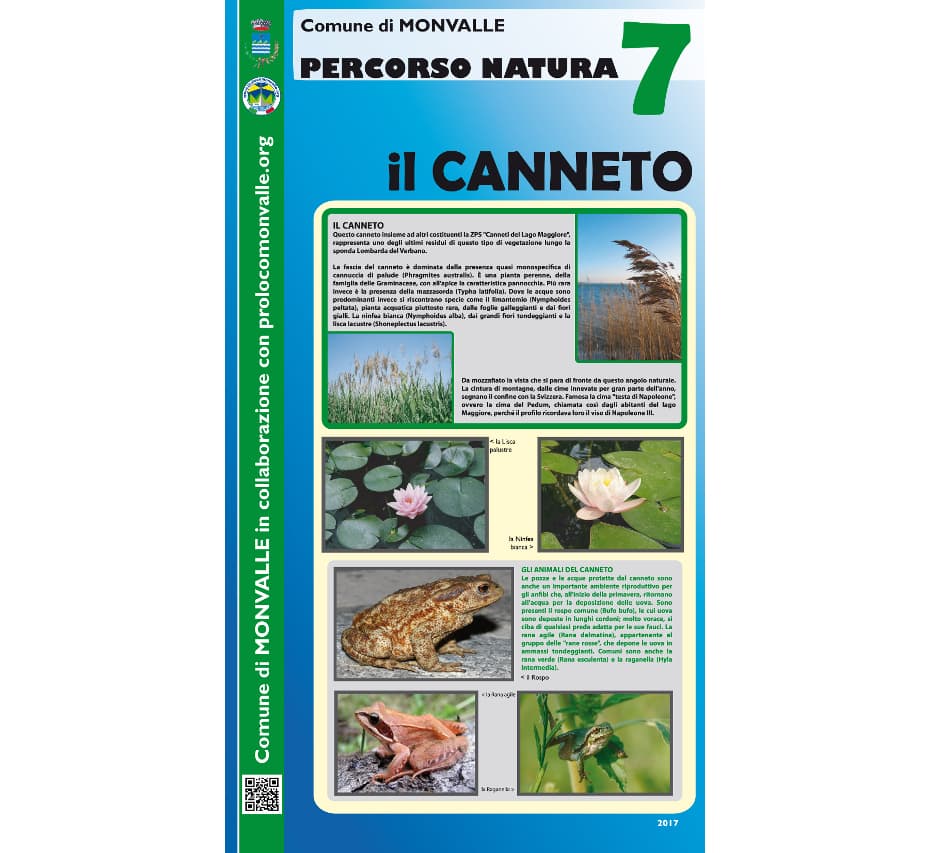 Percorso natura – foto 7